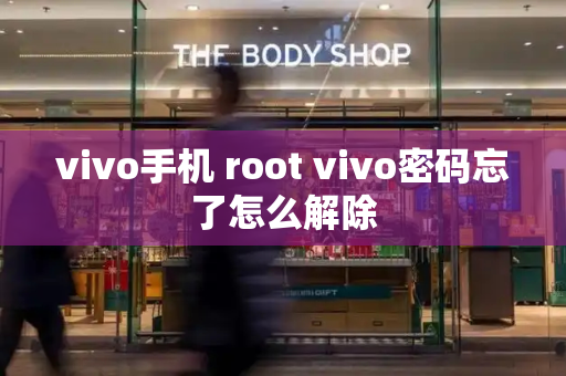 vivo手机 root vivo密码忘了怎么解除-第1张图片-星选测评