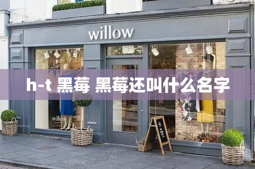 h-t 黑莓 黑莓还叫什么名字
