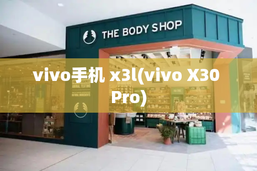 vivo手机 x3l(vivo X30 Pro)-第1张图片-星选测评