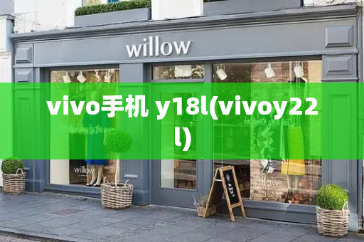 vivo手机 y18l(vivoy22l)