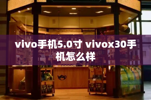 vivo手机5.0寸 vivox30手机怎么样