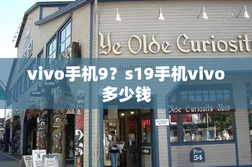 vivo手机9？s19手机vivo多少钱-第1张图片-星选测评