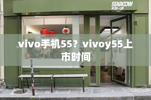 vivo手机55？vivoy55上市时间-第1张图片-星选测评