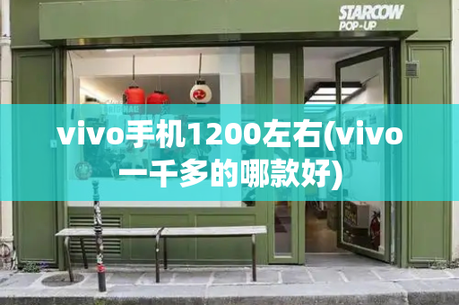 vivo手机1200左右(vivo一千多的哪款好)-第1张图片-星选测评