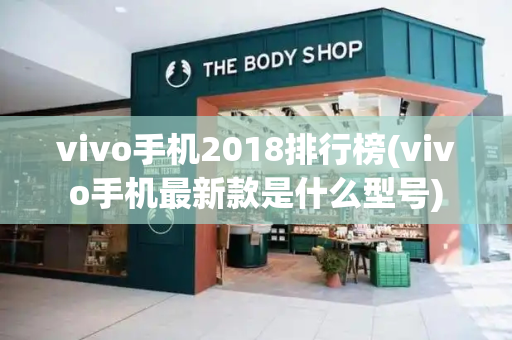 vivo手机2018排行榜(vivo手机最新款是什么型号)-第1张图片-星选测评