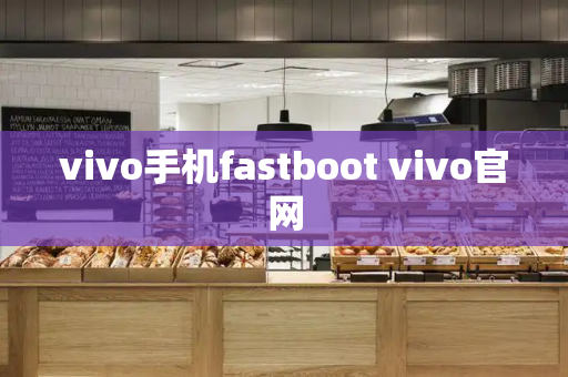 vivo手机fastboot vivo官网-第1张图片-星选测评