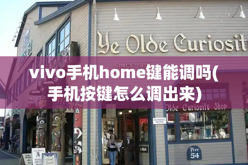 vivo手机home键能调吗(手机按键怎么调出来)