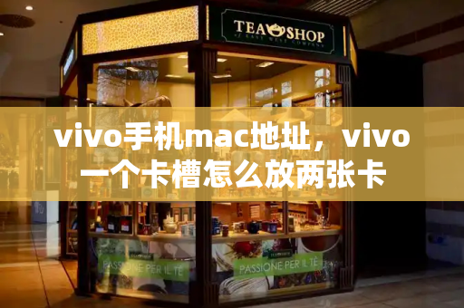 vivo手机mac地址，vivo一个卡槽怎么放两张卡-第1张图片-星选测评