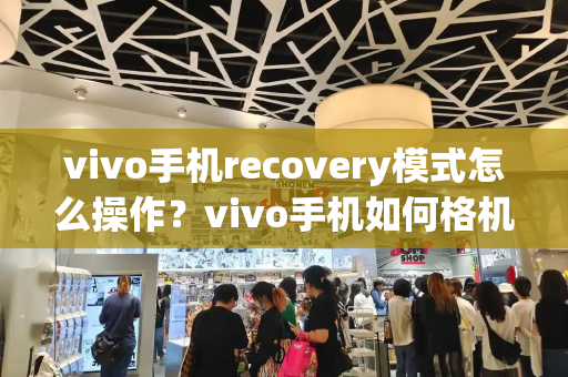 vivo手机recovery模式怎么操作？vivo手机如何格机的步骤-第1张图片-星选测评