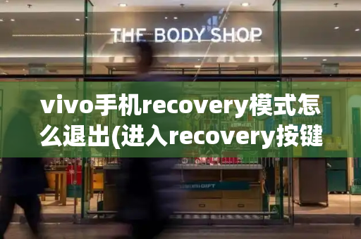 vivo手机recovery模式怎么退出(进入recovery按键没反应)