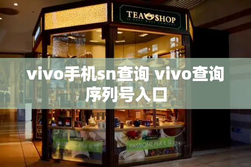 vivo手机sn查询 vivo查询序列号入口