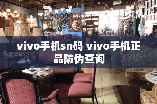 vivo手机sn码 vivo手机正品防伪查询-第1张图片-星选测评