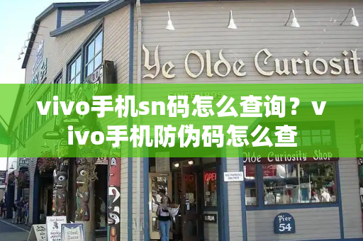 vivo手机sn码怎么查询？vivo手机防伪码怎么查-第1张图片-星选测评