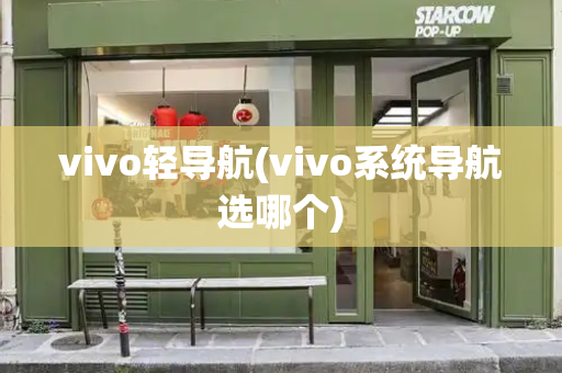 vivo轻导航(vivo系统导航选哪个)