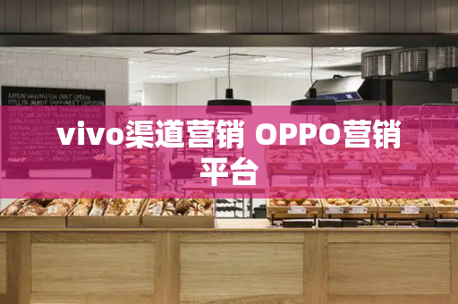 vivo渠道营销 OPPO营销平台