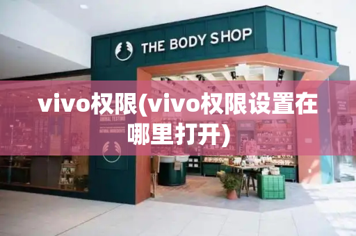 vivo权限(vivo权限设置在哪里打开)