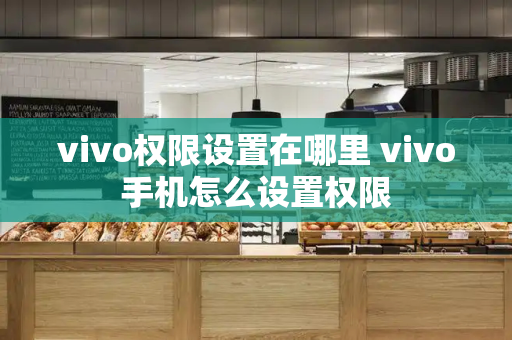 vivo权限设置在哪里 vivo手机怎么设置权限