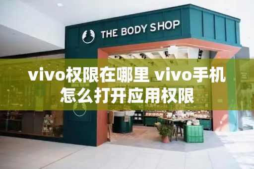 vivo权限在哪里 vivo手机怎么打开应用权限-第1张图片-星选测评
