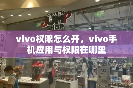 vivo权限怎么开，vivo手机应用与权限在哪里