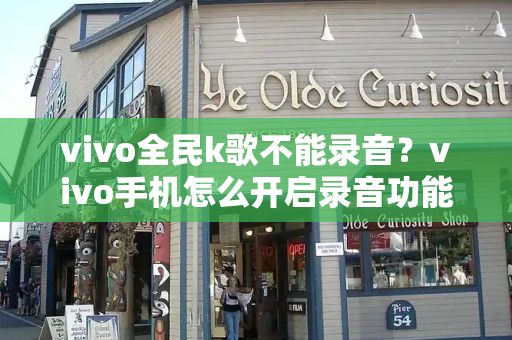 vivo全民k歌不能录音？vivo手机怎么开启录音功能-第1张图片-星选测评