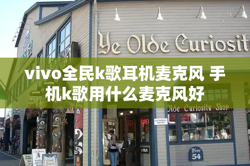 vivo全民k歌耳机麦克风 手机k歌用什么麦克风好