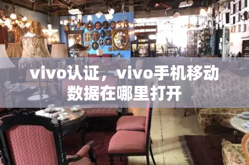 vivo认证，vivo手机移动数据在哪里打开-第1张图片-星选测评