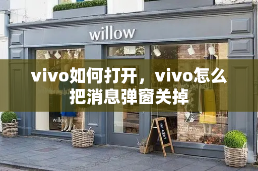 vivo如何打开，vivo怎么把消息弹窗关掉