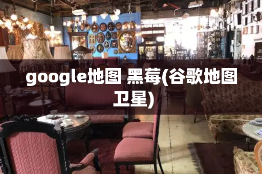 google地图 黑莓(谷歌地图 卫星)