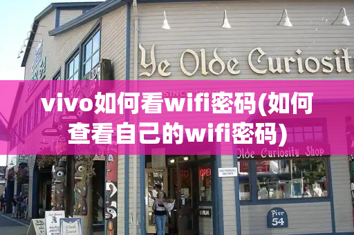 vivo如何看wifi密码(如何查看自己的wifi密码)