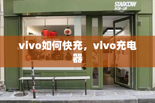 vivo如何快充，vivo充电器-第1张图片-星选测评