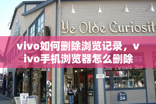 vivo如何删除浏览记录，vivo手机浏览器怎么删除-第1张图片-星选测评