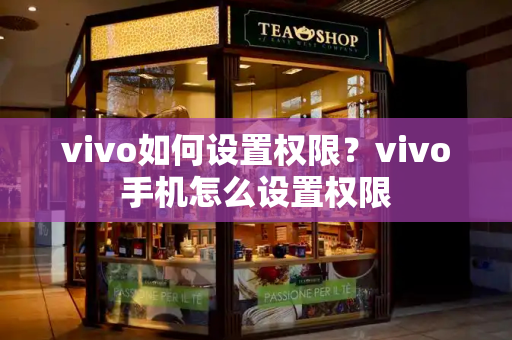 vivo如何设置权限？vivo手机怎么设置权限-第1张图片-星选测评