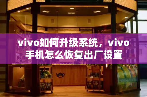 vivo如何升级系统，vivo手机怎么恢复出厂设置