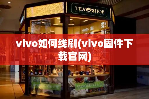 vivo如何线刷(vivo固件下载官网)-第1张图片-星选测评