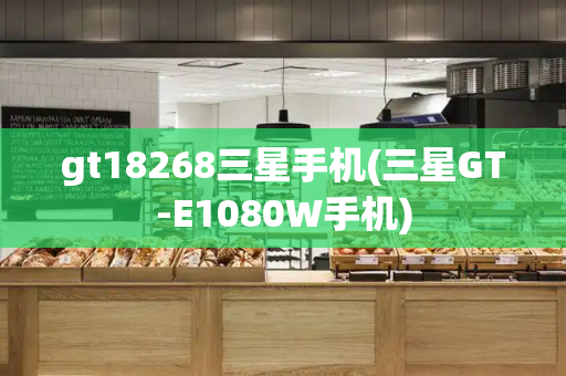 gt18268三星手机(三星GT-E1080W手机)