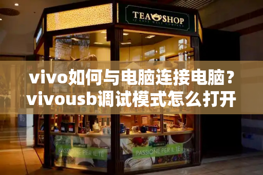 vivo如何与电脑连接电脑？vivousb调试模式怎么打开