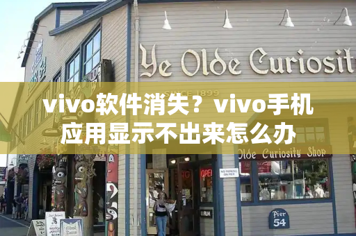vivo软件消失？vivo手机应用显示不出来怎么办-第1张图片-星选测评