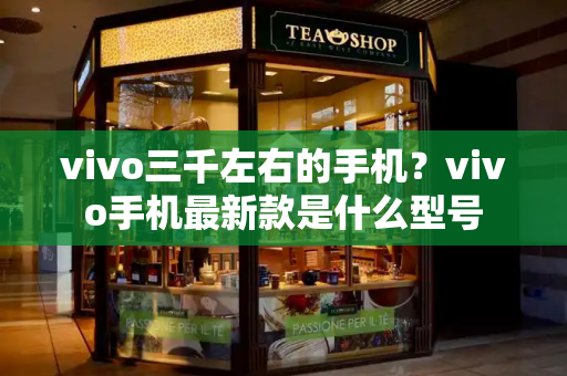 vivo三千左右的手机？vivo手机最新款是什么型号-第1张图片-星选测评