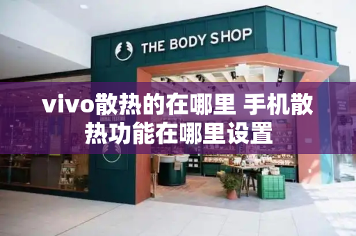 vivo散热的在哪里 手机散热功能在哪里设置-第1张图片-星选测评