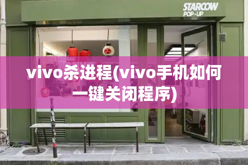vivo杀进程(vivo手机如何一键关闭程序)