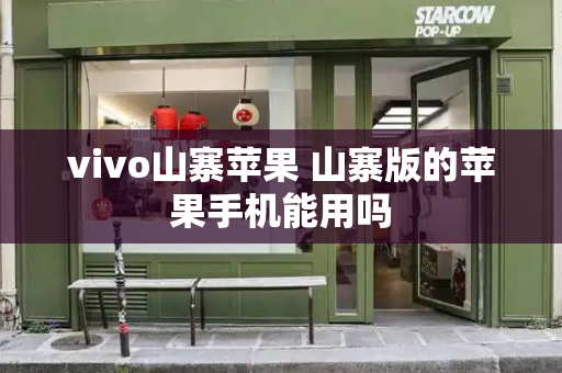 vivo山寨苹果 山寨版的苹果手机能用吗