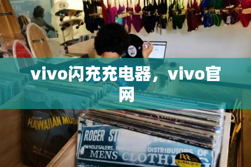 vivo闪充充电器，vivo官网