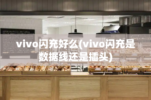 vivo闪充好么(vivo闪充是数据线还是插头)