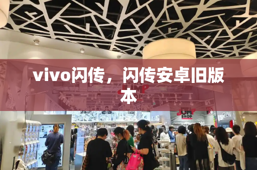 vivo闪传，闪传安卓旧版本-第1张图片-星选测评