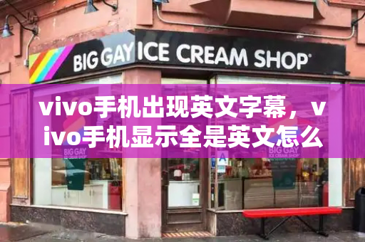 vivo手机出现英文字幕，vivo手机显示全是英文怎么办-第1张图片-星选测评