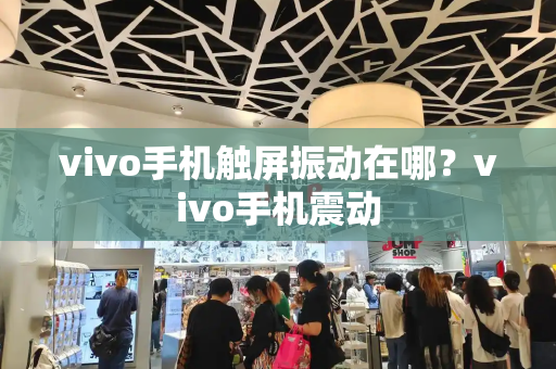 vivo手机触屏振动在哪？vivo手机震动-第1张图片-星选测评