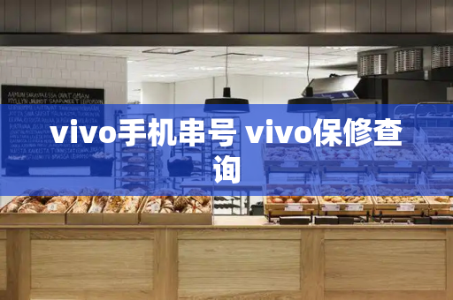 vivo手机串号 vivo保修查询-第1张图片-星选测评