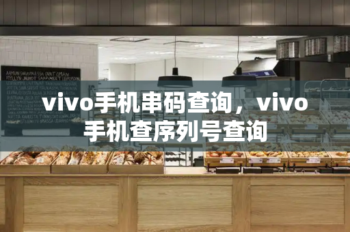 vivo手机串码查询，vivo手机查序列号查询