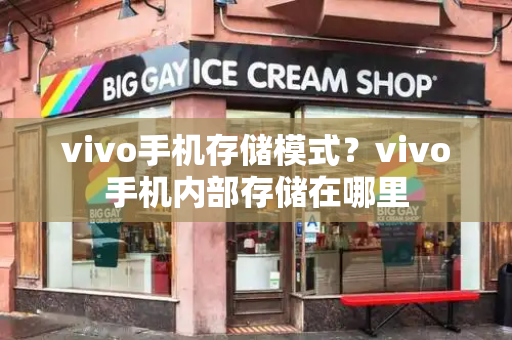 vivo手机存储模式？vivo手机内部存储在哪里