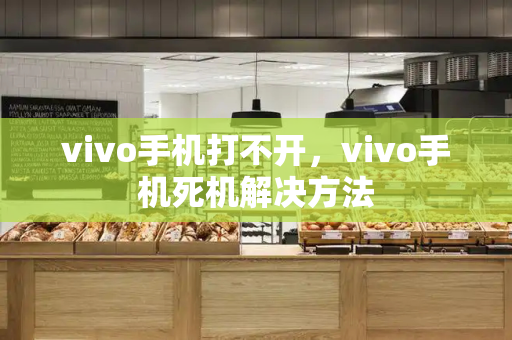 vivo手机打不开，vivo手机死机解决方法